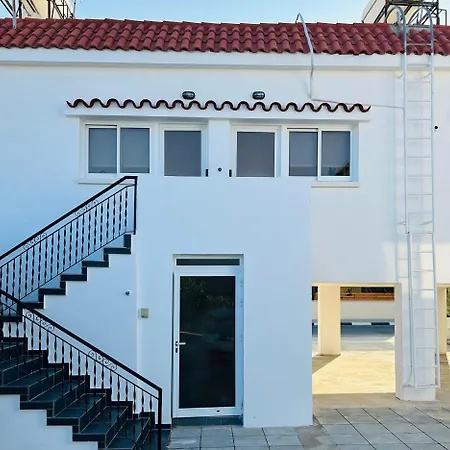 Olive Bloom * ラルナカ