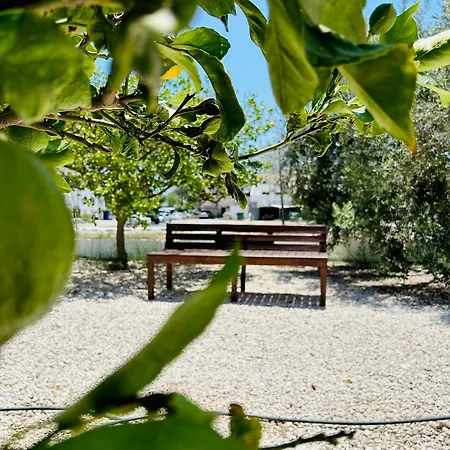 アパート Olive Bloom *