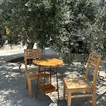 Olive Grove Complex * ラルナカ