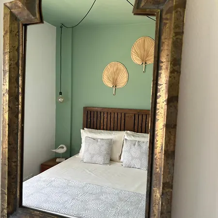 Olive Bloom * Larnaca