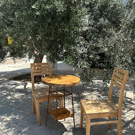 Olive Grove * Larnaca
