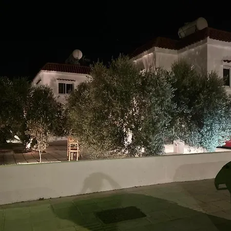 Appartement Olive Grove