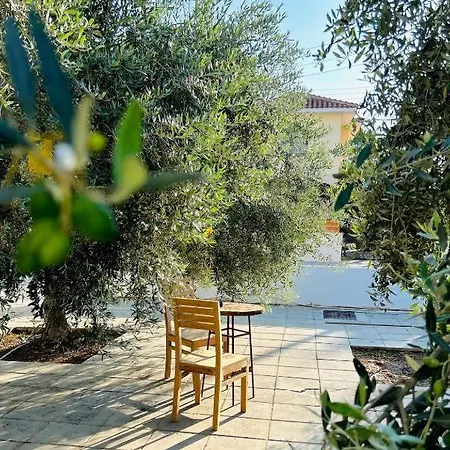 Olive Grove Larnaca