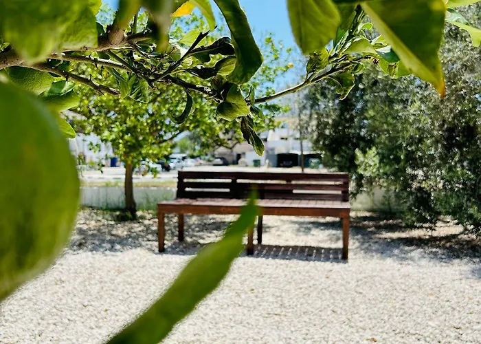 Апартаменти Olive Bloom *